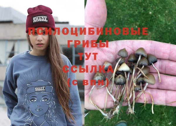 МДМА Верхний Тагил