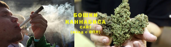 ешки Бронницы