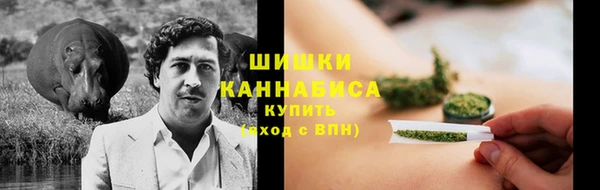 стаф Бугульма