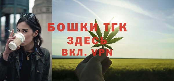 тгк Верея