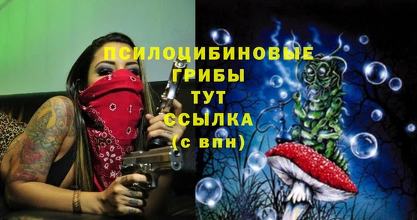 стаф Бугульма