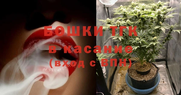 эйфоретик Бородино