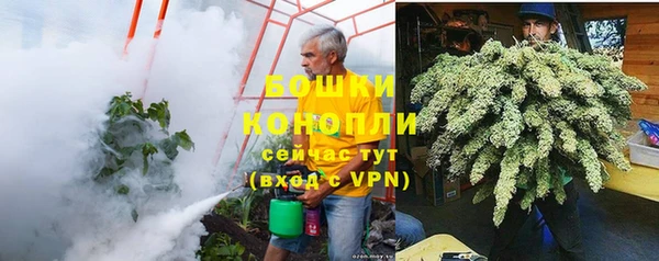 эйфоретик Бородино